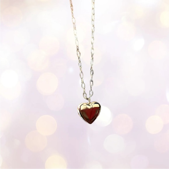 Photo FRASIER STERLING Love You Locket Chain Necklace Charm Romantic Memory Gift - Picture 10 of 15